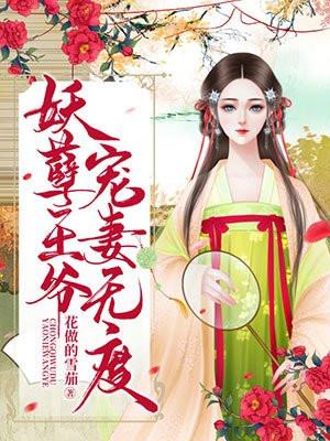 贼娘子完整版