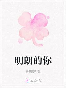 女将军那个电视叫什么